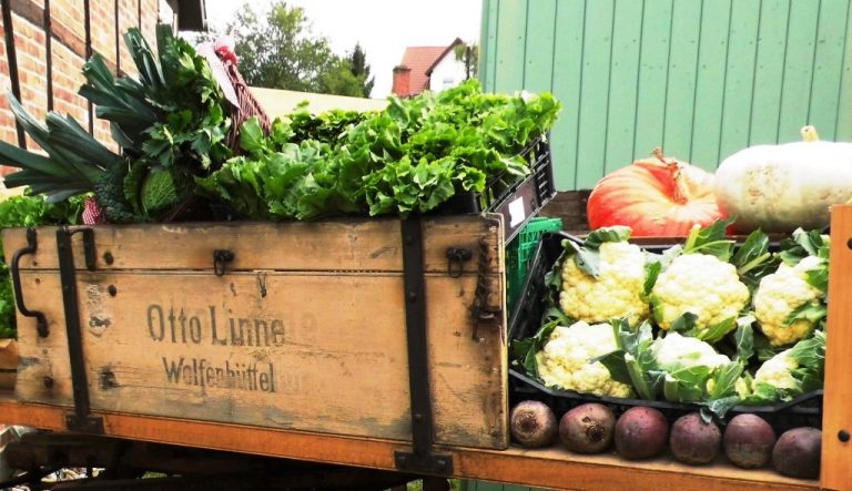 Auf zum Erntedankfest!