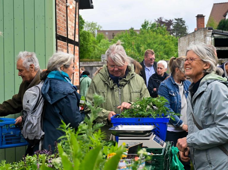 Beate Pieper berät auch in diesem Jahr rund um die Tomatenpflanzen.